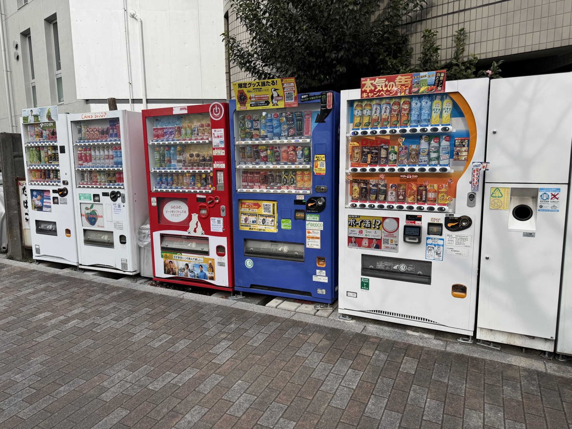 Bahnbrechende Erkenntnisse