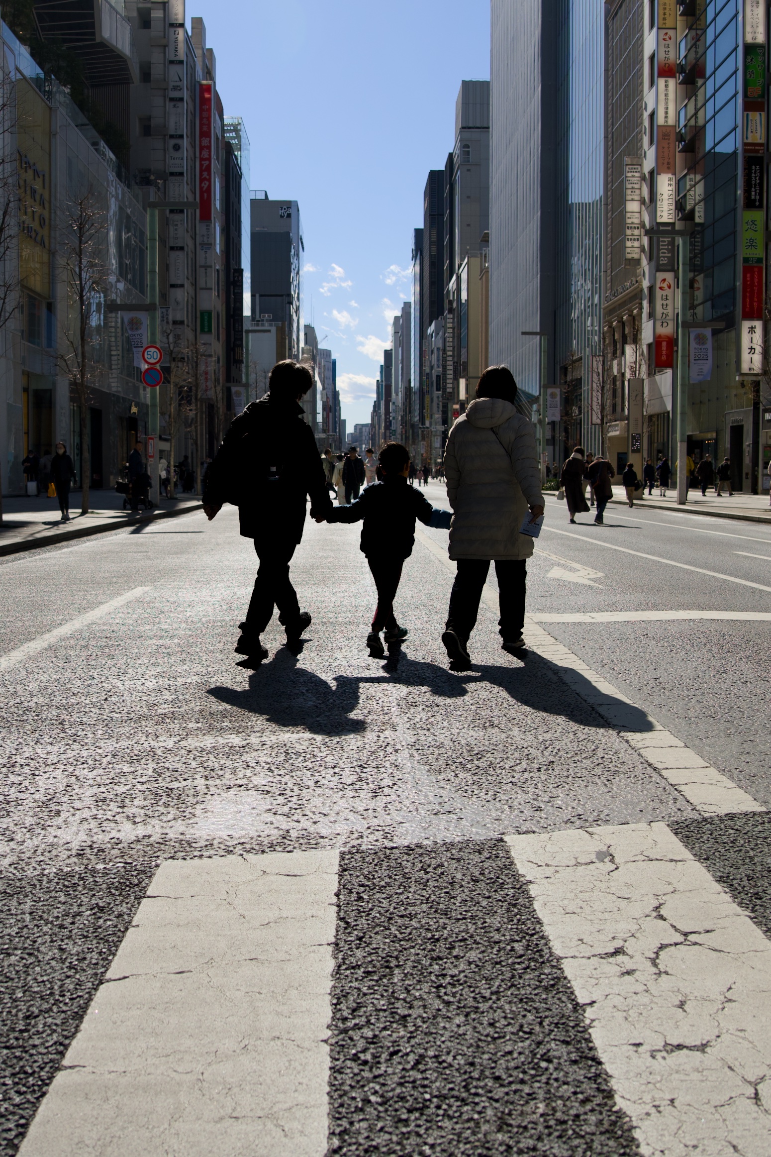 銀座と浜離宮恩賜庭園